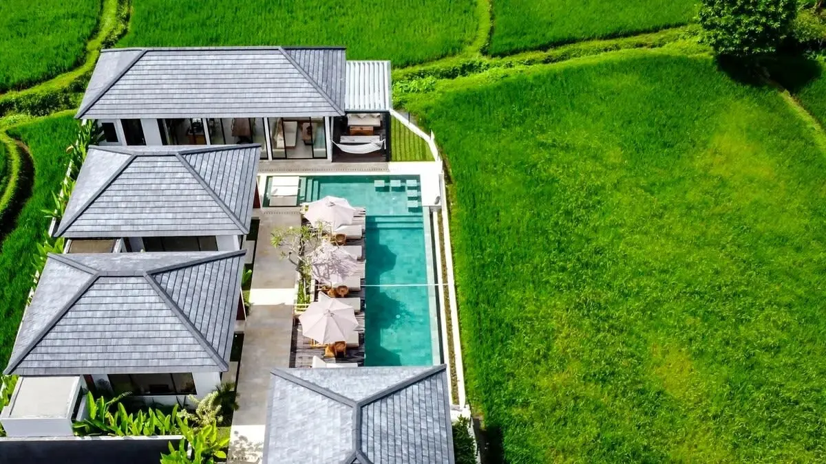 Straight down over the roofs and the paddy