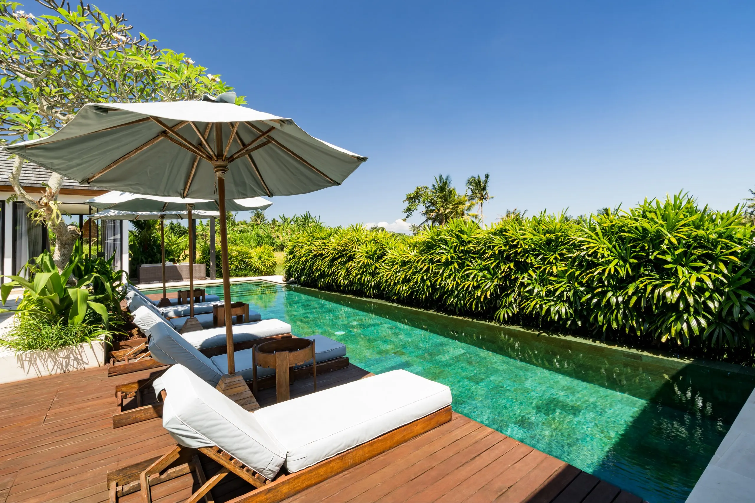 Loungers and umbrellas along the water