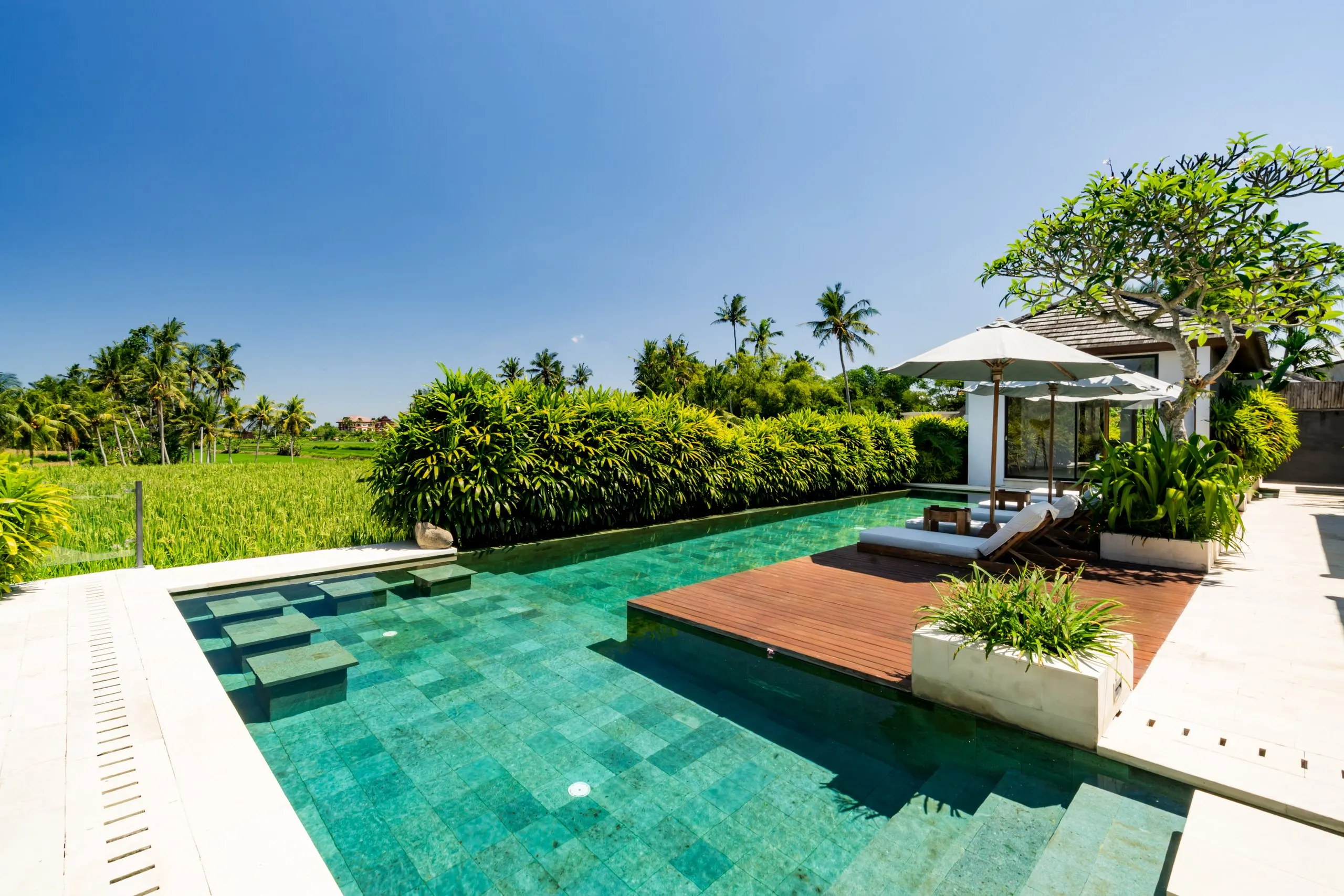 Villa Samaddhi, A three-bedroom rice-terrace villa in Peliatan, Ubud